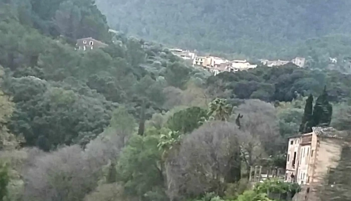 Iglesia De La Cartuja -  Abierto Ahora - Valldemossa
