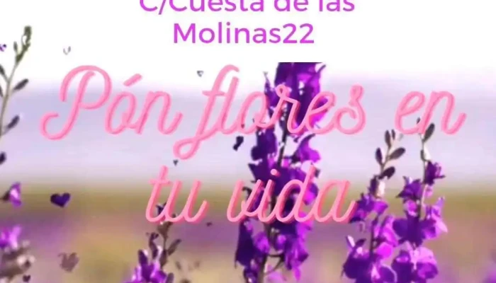 Iglesia De Las Ventas -  Videos - León