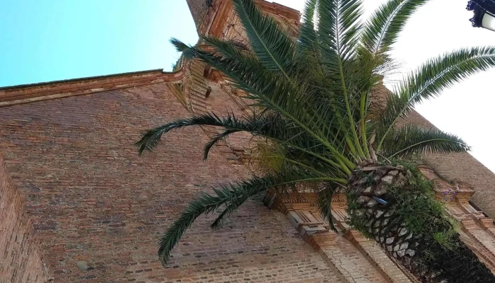 Iglesia De Nuestra Senora De Gracia Comentario 4 - Alosno