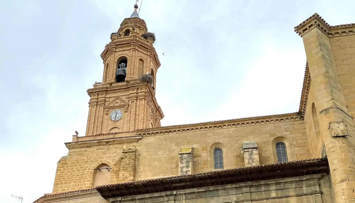 Iglesia De Nuestra Senora De La Asuncion Catalogo - Lerín