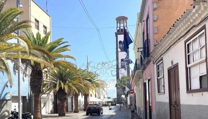 Iglesia De Nuestra Senora De La Concepcion Fotos - Santa Cruz de Tenerife