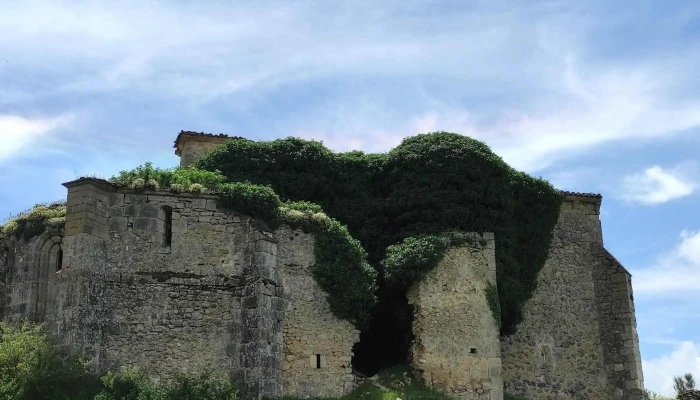 Iglesia De Penahorada De Fuera Ruinas Comentarios - Burgos