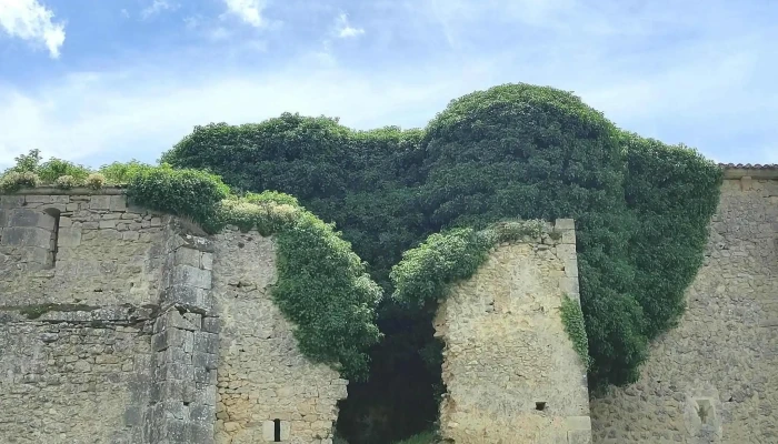 Iglesia De Penahorada De Fuera Ruinas Ubicacion - Burgos