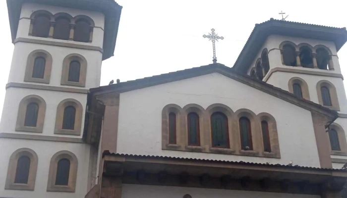 Iglesia De San Andres De El Entrego Zona - San Martín del Rey Aurelio