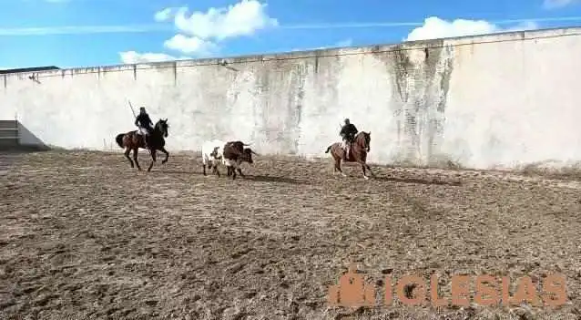 Iglesia De San Cristobal Videos - San Cristóbal de Cuéllar