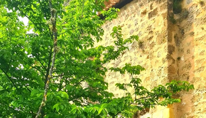 Iglesia De San Esteban -  Cerca De Mi - Ribera