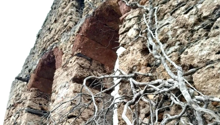 Iglesia De San Esteban De Pardollan Precios - Pardollán (santo Estevo)