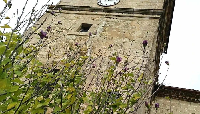 Iglesia De San Juan Bautista -  Telefono - Baquedano