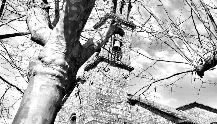 Iglesia De San Juan De Calo -  Telefono - Teo