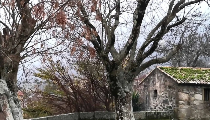 Iglesia De San Lorenzo De Belesar -  Telefono - Baiona