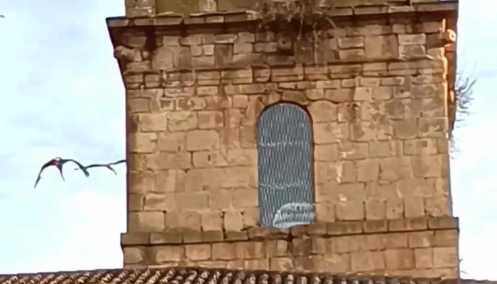 Iglesia De San Miguel Arcangel Videos - Torremocha del Campo