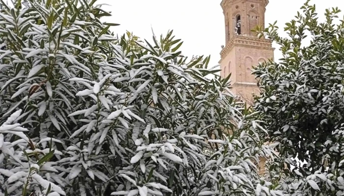 Iglesia De San Miguel -  Direccion - Cárcar
