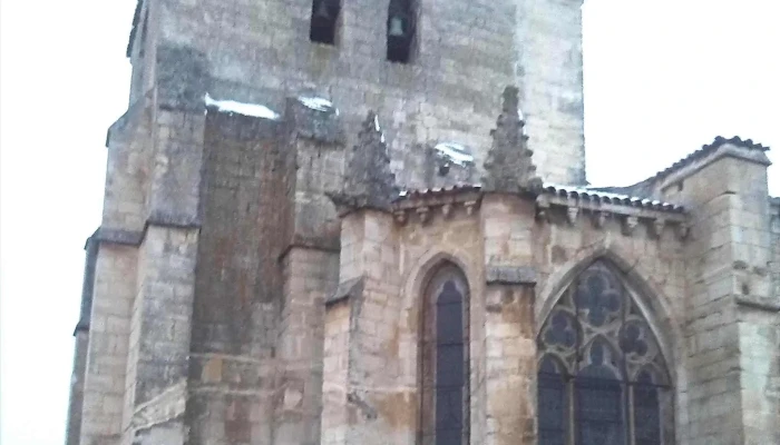 Iglesia De San Pedro -  Horario - Santo Domingo de Silos