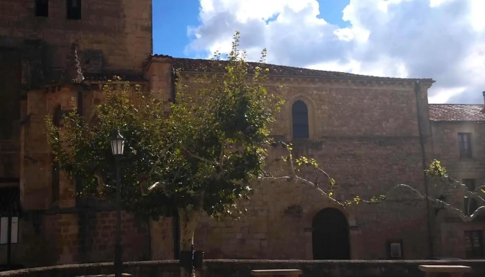 Iglesia De San Pedro -  Sitio Web - Santo Domingo de Silos