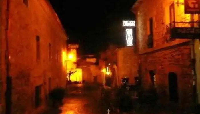 Iglesia De San Pedro -  Videos - Santo Domingo de Silos