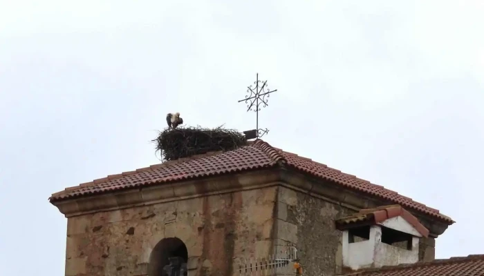 Iglesia De San Salvador Villar Del Ala -  Iglesia - Villar del Ala