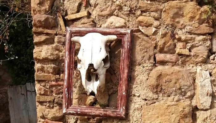 Iglesia De Santa Maria De Lestela Cerca De Mi - Girona