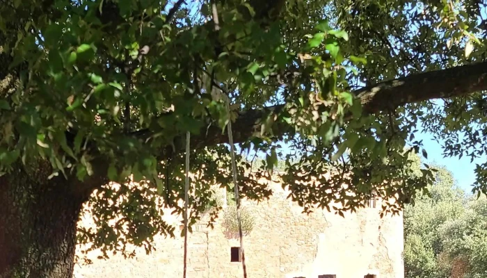 Iglesia De Santa Maria De Lestela Puntaje - Girona