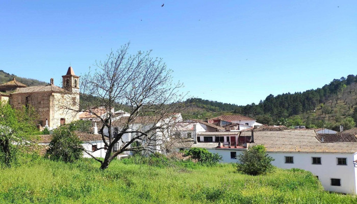 Iglesia De Santiago El Mayor -  Opiniones - Castaño del Robledo