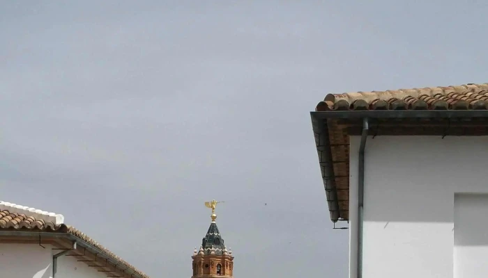 Iglesia De Santo Domingo -  Videos - Antequera