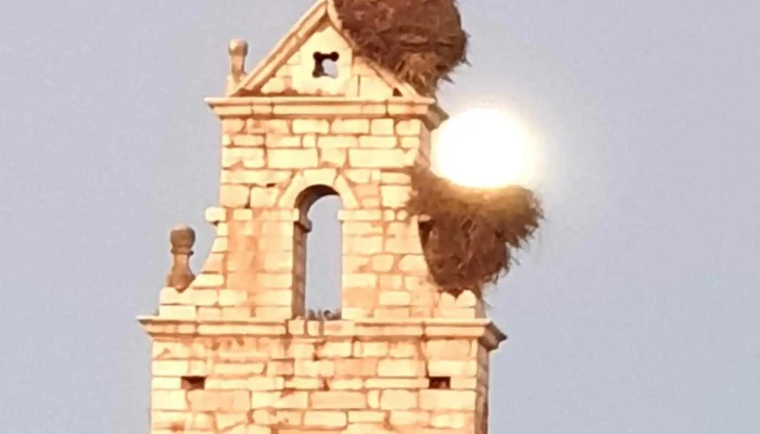Iglesia De Sariegos -  Iglesia Catolica - León