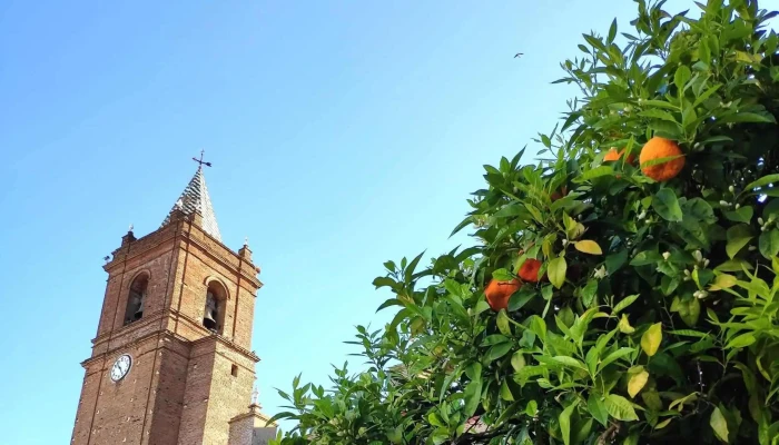 Iglesia Del Divino Salvador -  Telefono - Cortegana