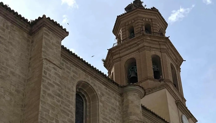 Iglesia Mayor O Concatedral De Baza Colegiata De Nuestra Senora Santa Maria De La Encarnacion Videos - Baza