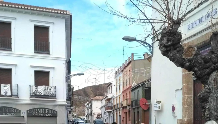 Iglesia Purísima Concepción Talará - Lecrín