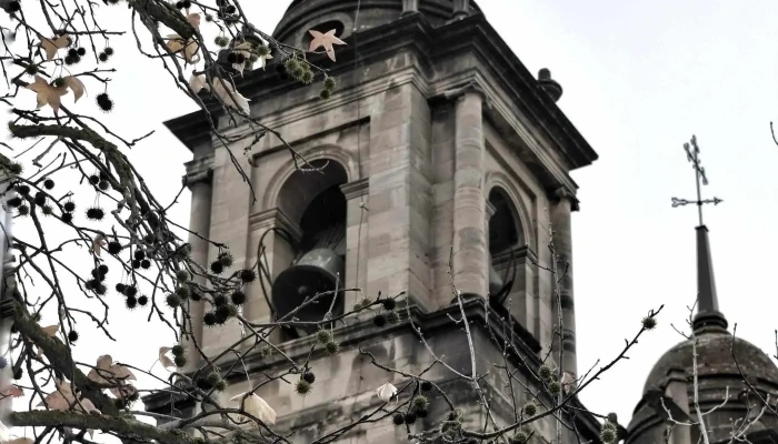 Iglesia San Juan Bautista -  Sitio Web - Estella