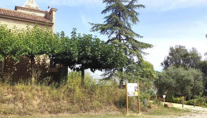 Iglesia Santa Maria De Camos Catalogo - Santa Maria de Camós