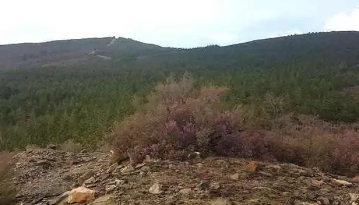 Lugar de la Ermita de San Pelayo - Toreno