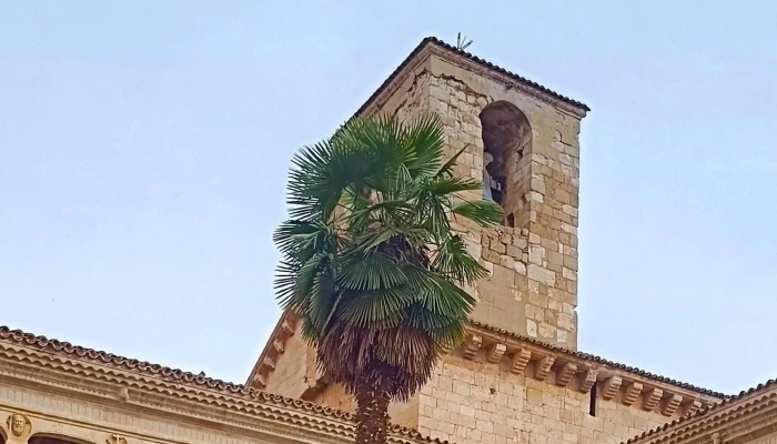 Monasterio Cisterciense De Santa Maria De Huerta Precios - Santa María de Huerta