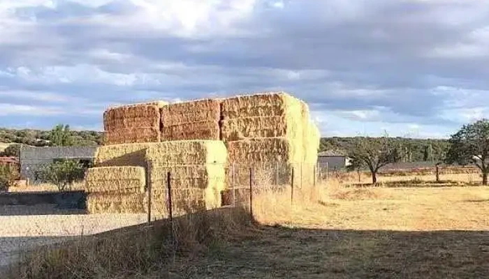 Muñoyerro - Muñoyerro