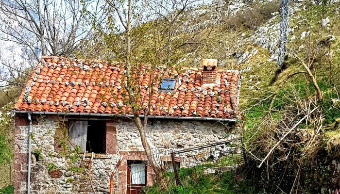 Parroquia De San Andres Como Llegar - Tresviso