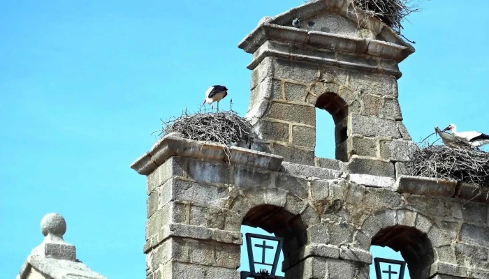 Parroquia De San Esteban -  Direccion - Muñana