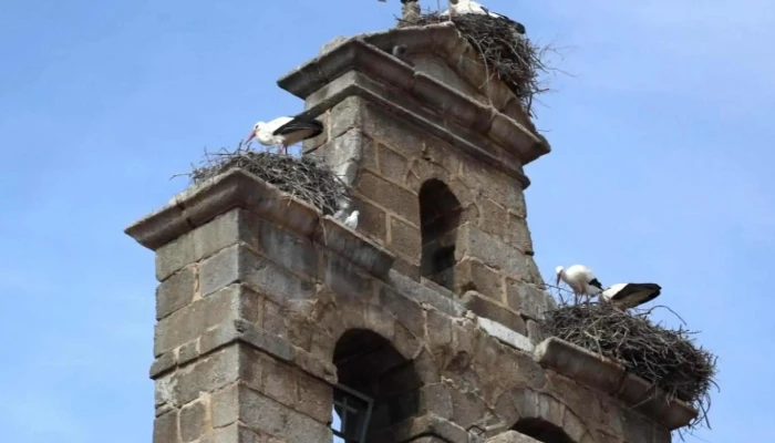 Parroquia de San Esteban - Muñana