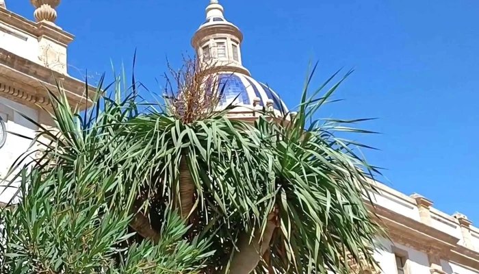 Parroquia De San Jose Comentario 3 - Cádiz