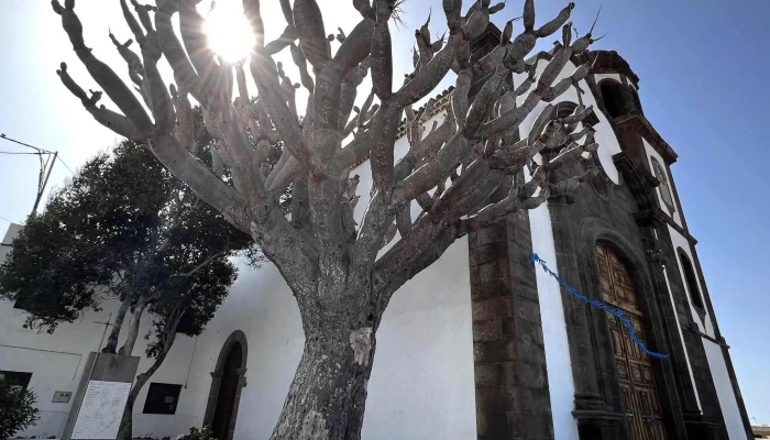 Parroquia De San Juan Bautista -  Villa De Arico Direccion - villa de arico