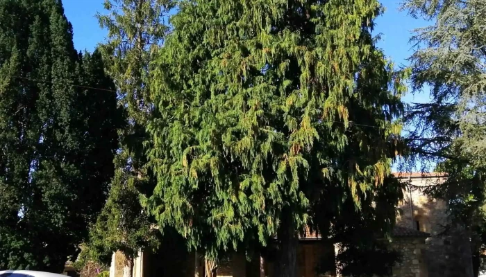 Parroquia De San Justo Y San Pastor -  Videos - Caviedes