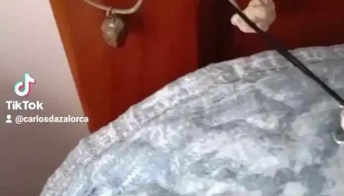 Parroquia De Santa Isabel -  Videos - Huétor Tájar