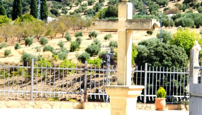 Parroquia De Santa Lucia Martir Telefono - Frailes