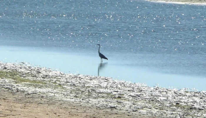 Parroquia Nuestra Senora Del Mar Abierto Ahora - Isla Cristina