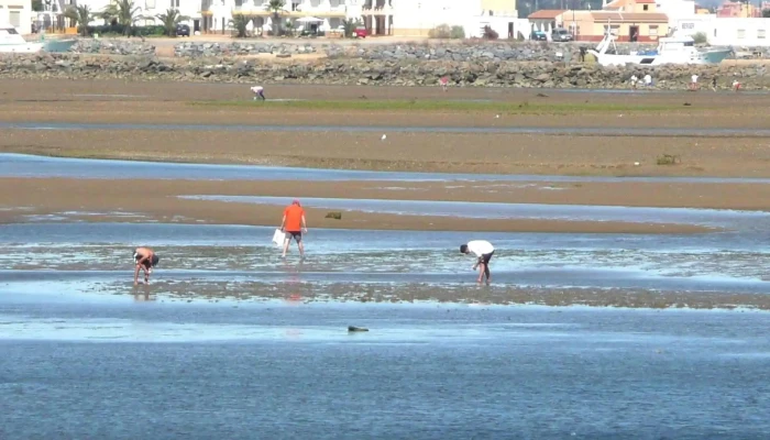 Parroquia Nuestra Senora Del Mar Puntaje - Isla Cristina