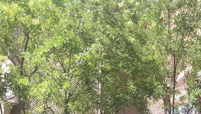 Parroquia Santa Maria Del Monte Carmelo Instagram - Madrid