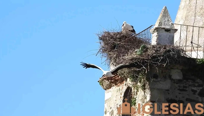 Parroquia Santa Maria Magdalena Videos - Holguera