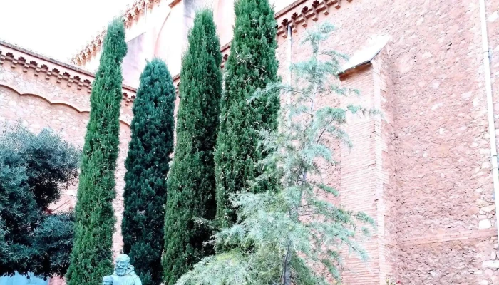 Parroquia Virgen Del Rosario -  Como Llegar - Tortosa