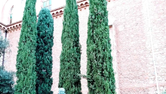 Parroquia Virgen Del Rosario -  Donde - Tortosa