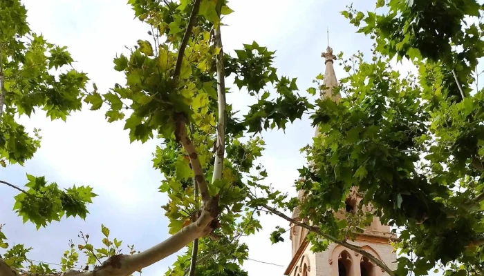 Plaza De La Iglesia De Binissalem -  Donde - Binissalem