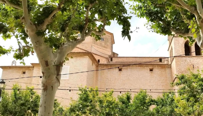 Plaza De La Iglesia De Binissalem -  Zona - Binissalem