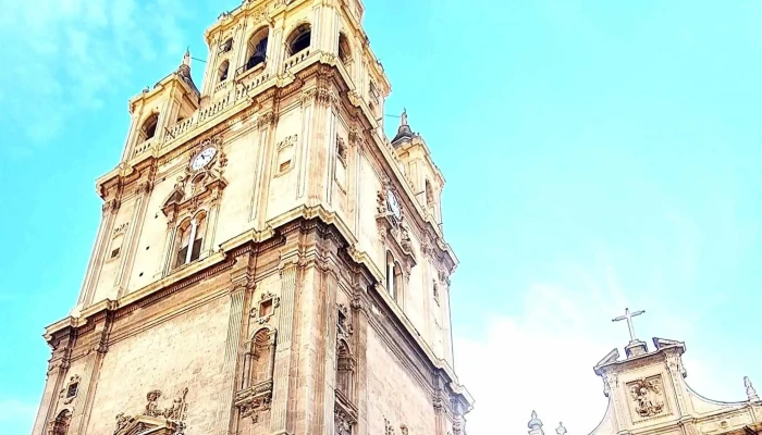 Puerta De Las Cadenas -  Catedral De Murcia Comentario 5 - Murcia